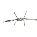 Barbed wire mesh Galvanized